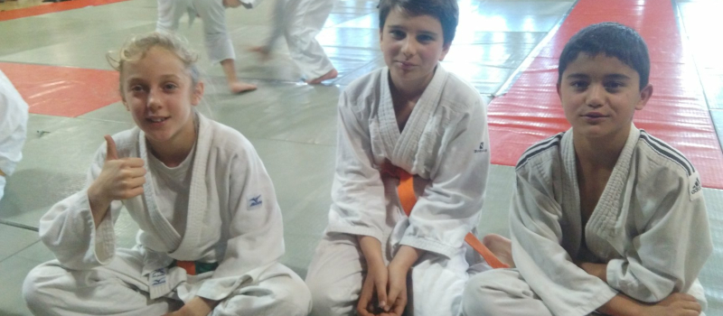 Les judokas mirandais brillent sur les tatamis