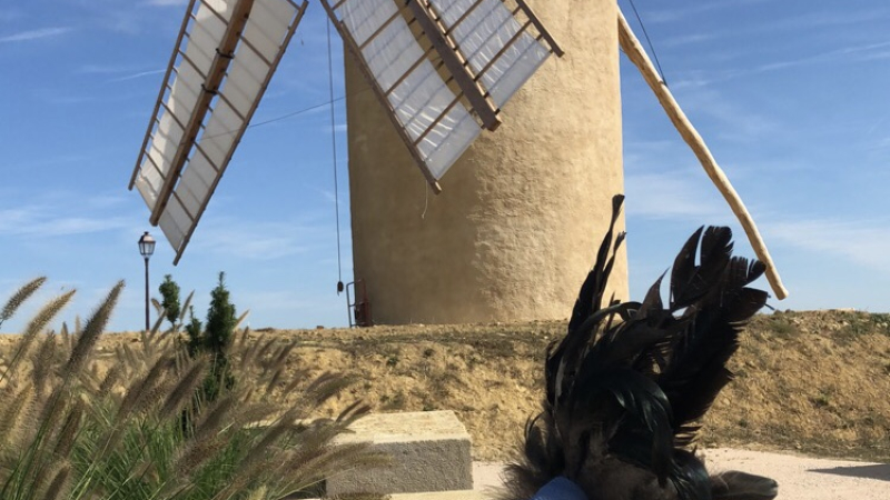 Le chapon  noir de Gascogne " surprise" pourrait être le roi des menus de fête !