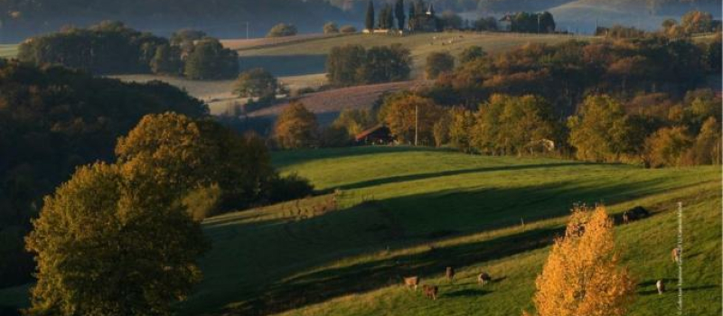 AG Arbre et Paysage 32