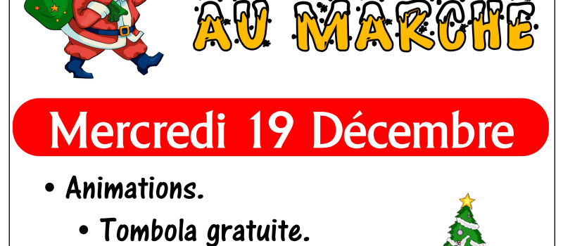 C'est Noël au marché de Pavie