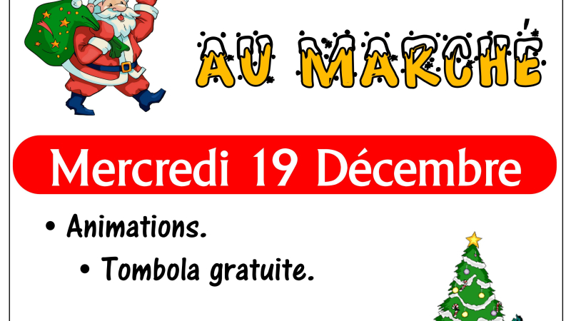 C'est Noël au marché de Pavie