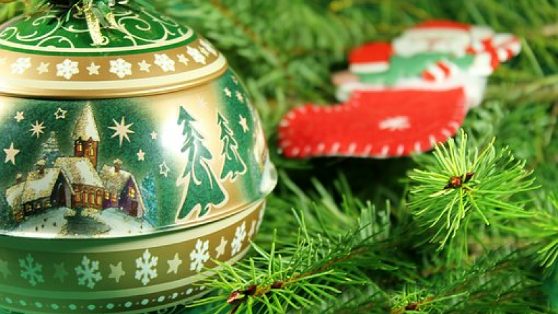 Une seconde vie pour votre sapin !