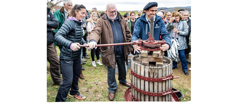 (1) Vendangeurs du Pacherenc de l’Hivernal à Arrosés et Crouseilles  