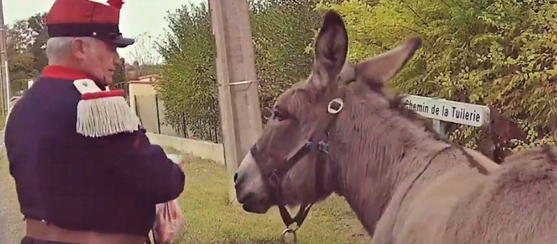 Marc et Lucky : l’hommage singulier aux Poilus