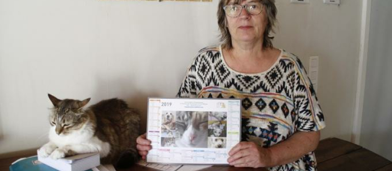 Loto de la double chance et pour les joueurs et pour les chats