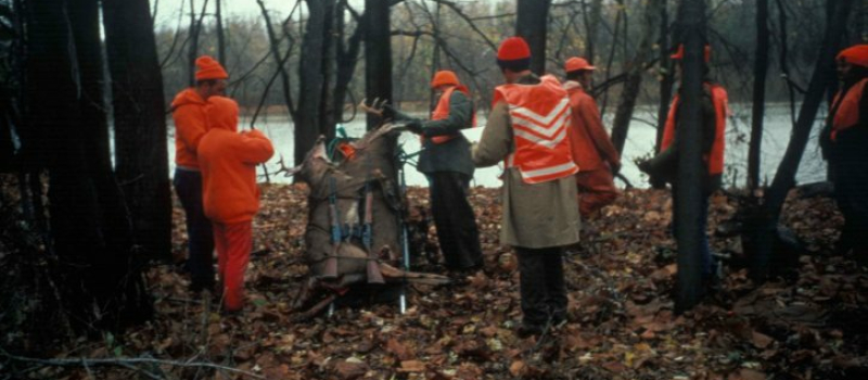 Accident de chasse