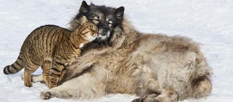 Parlez d'amour... sous toutes ses formes