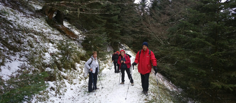 Première sortie hivernale