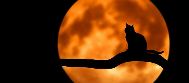 Cache-cache lunaire