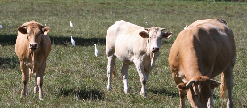 Agriculture : les prochaines formations