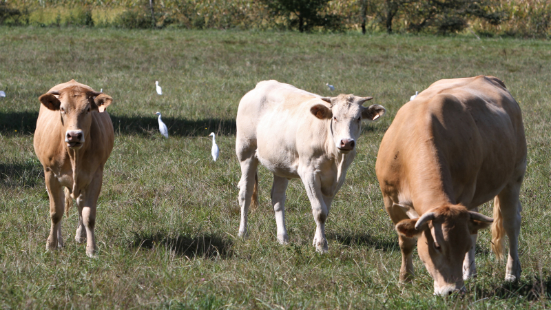 Agriculture : les prochaines formations