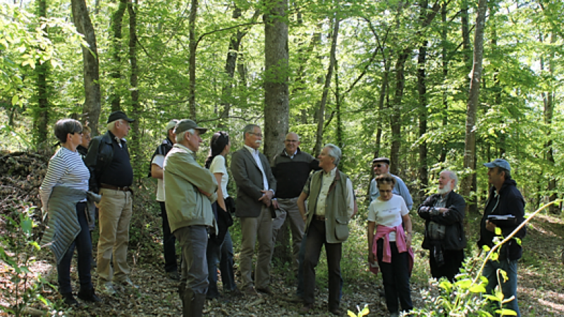 Rencontres forestières