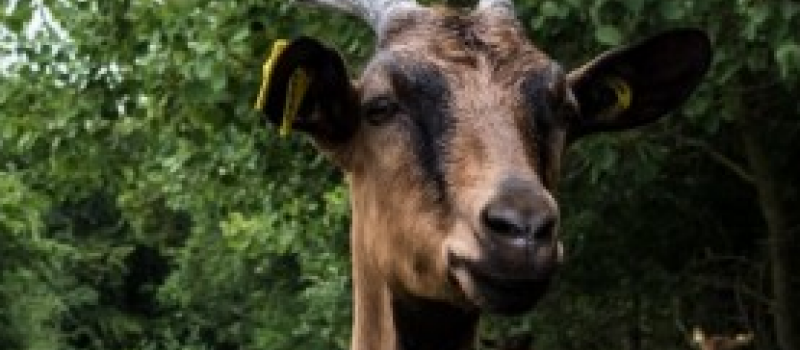 Sortie nature 2019 avec le CPIE Pays Gersois