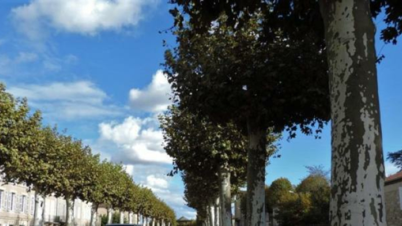 Réunion de l'ASPPAR