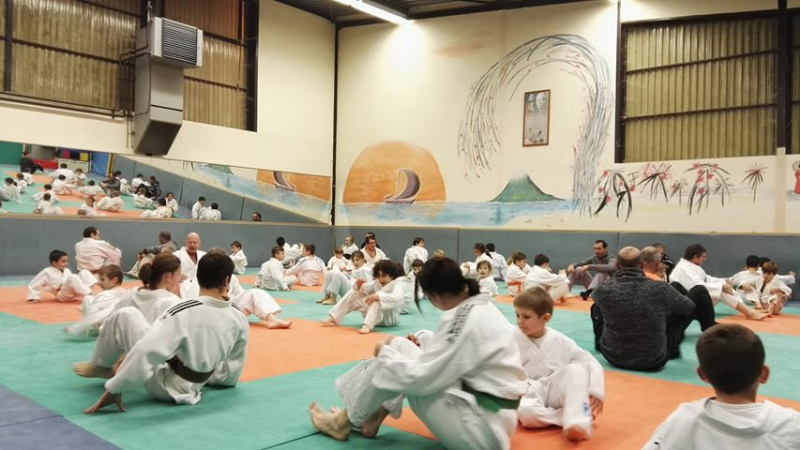 Journée judo avec Cathy Arnaud
