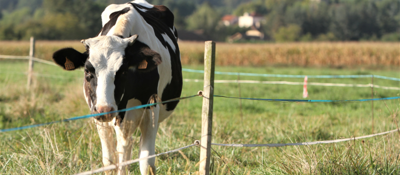 Agriculture : les prochaines manifestations
