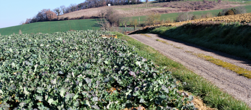 Agriculture : les prochaines formations