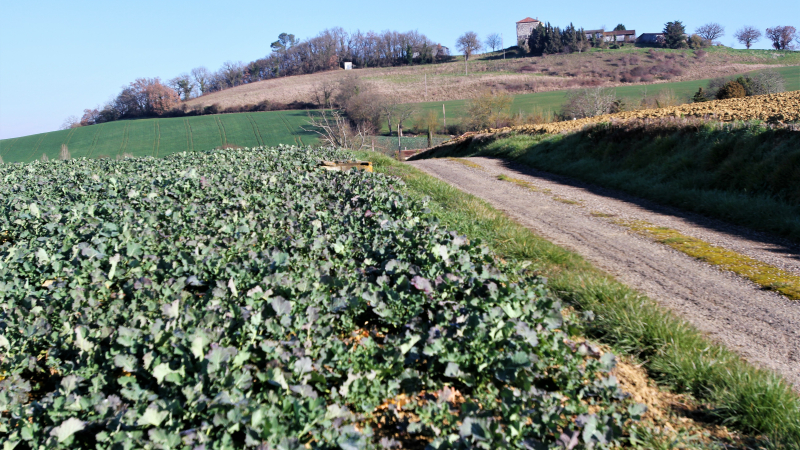 Agriculture : les prochaines formations