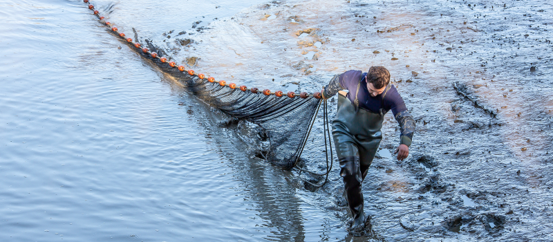 Pêche traditionnelle à l’étang de Perchède  
