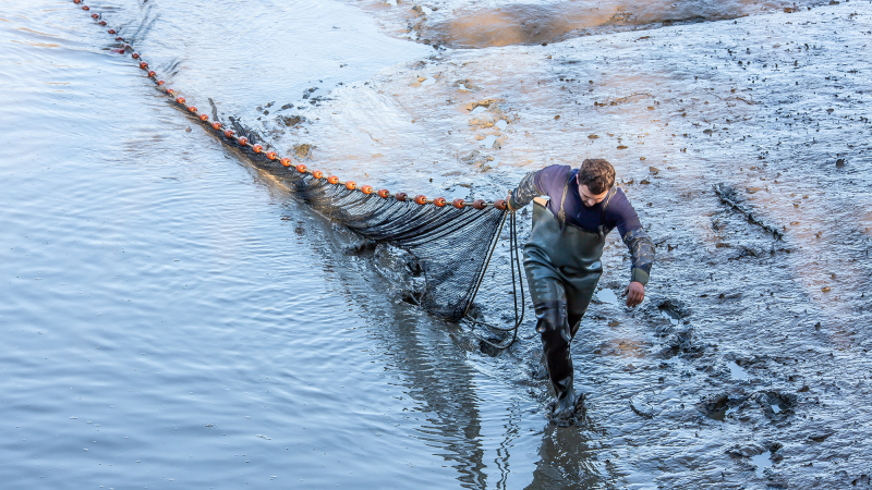 Pêche traditionnelle à l’étang de Perchède  
