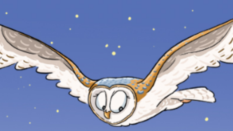 Sortie nature à la découverte des rapaces nocturnes