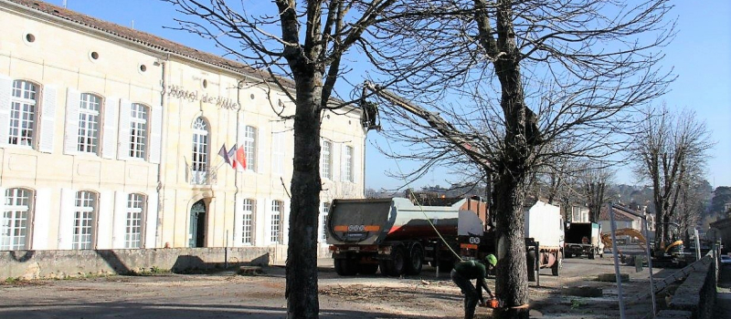 Rassemblement pacifique autour du projet des Promenades