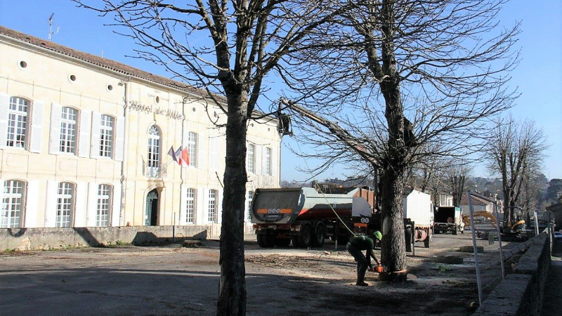 Rassemblement pacifique autour du projet des Promenades