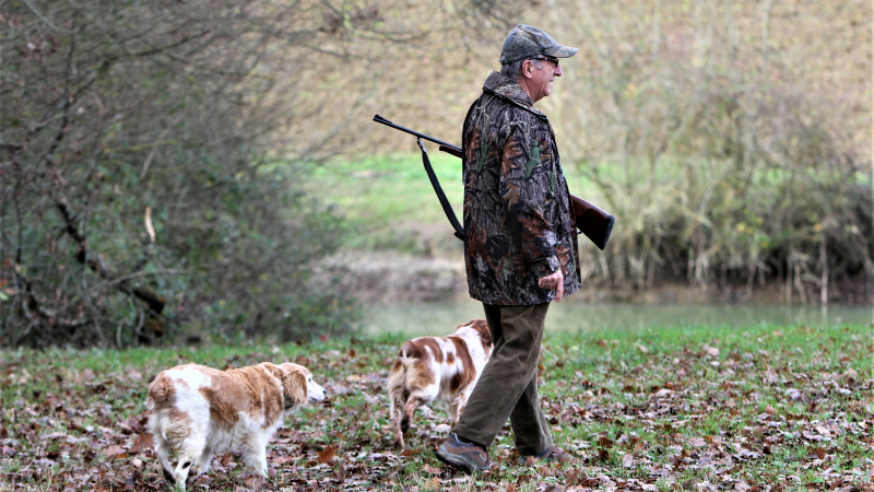 Dossier chasse : un tour d'horizon