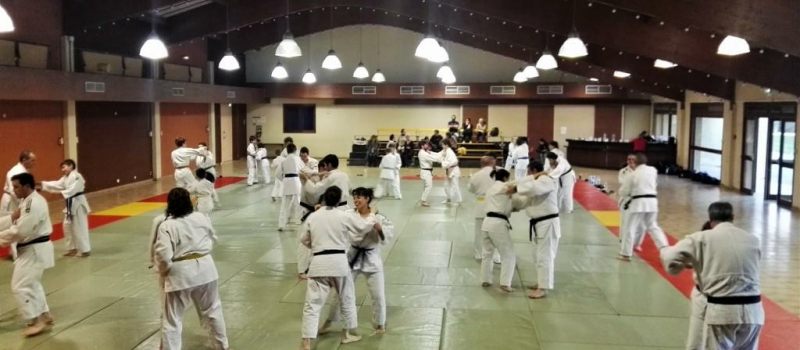 Cathy Arnaud et les judokas vicois