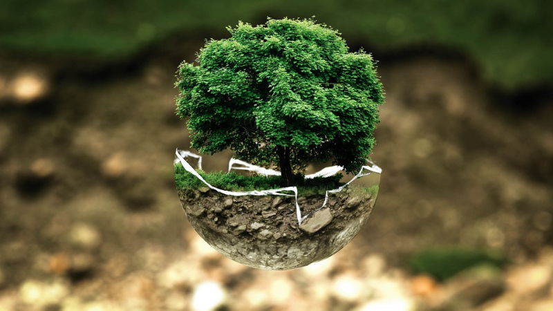 Sensibilisation des étudiants au réchauffement climatique