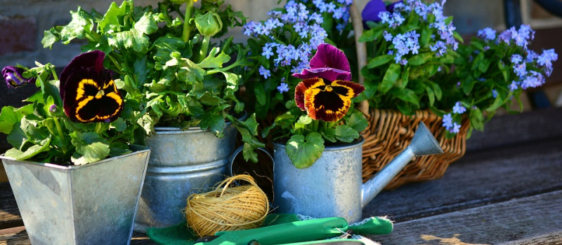 La Fête des Jardins
