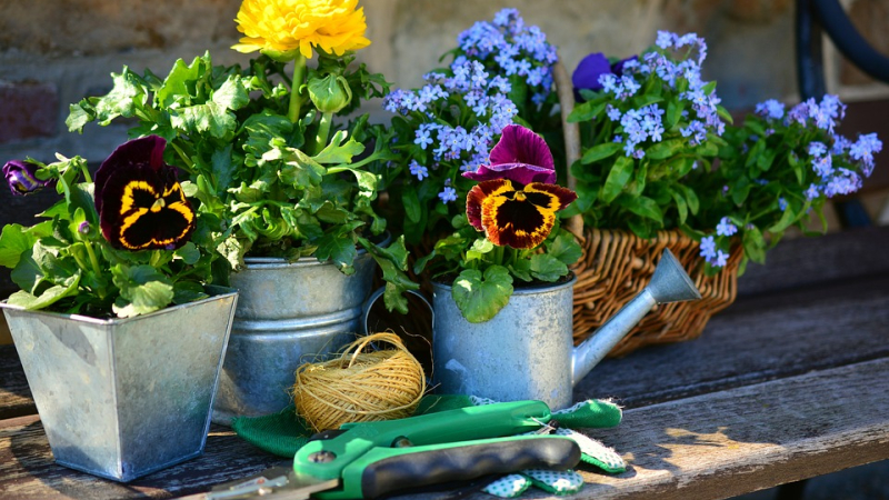 La Fête des Jardins