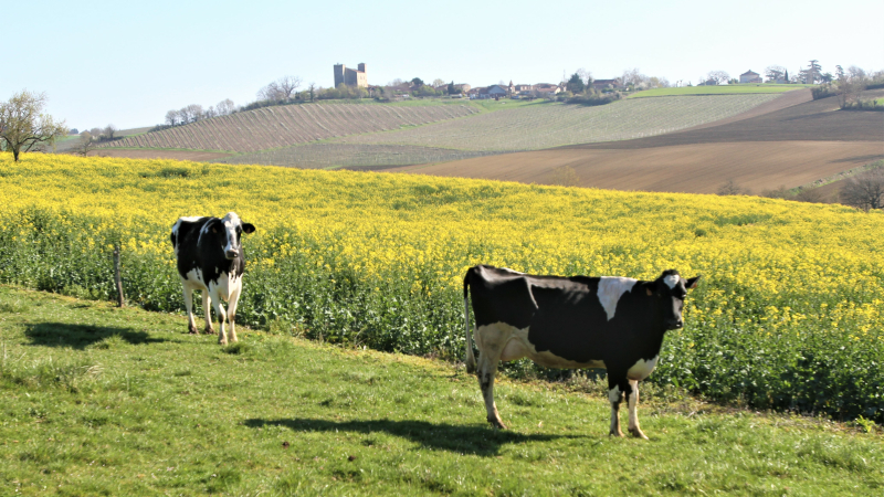Agriculture : dates des prochaines formations
