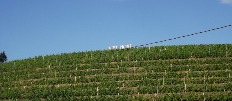 Saint Mont vignoble en fête, les 29, 30 & 31 mars