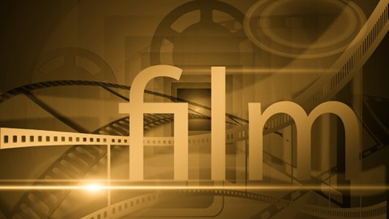 Le programme du cinéma