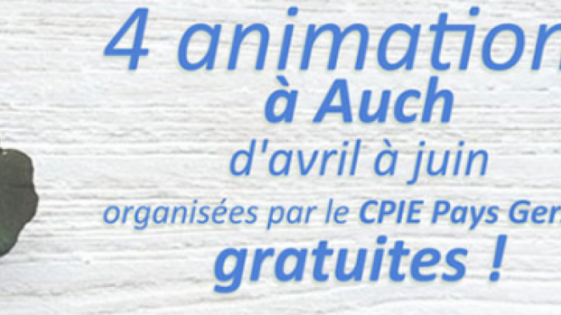 Ateliers, trucs et astuces pour voir la vie en vert !