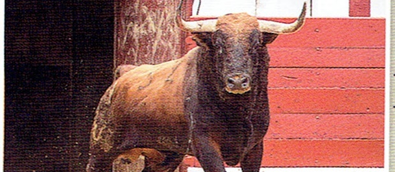 Rencontres taurines du samedi 30 mars