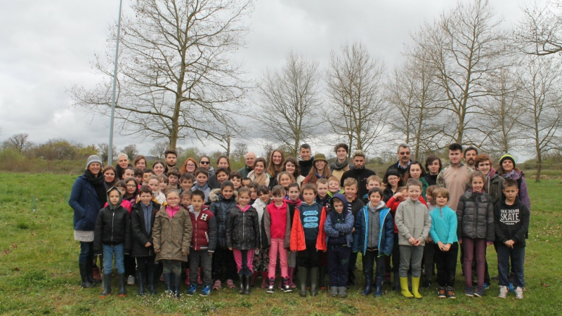 Les élèves plantentune forêt