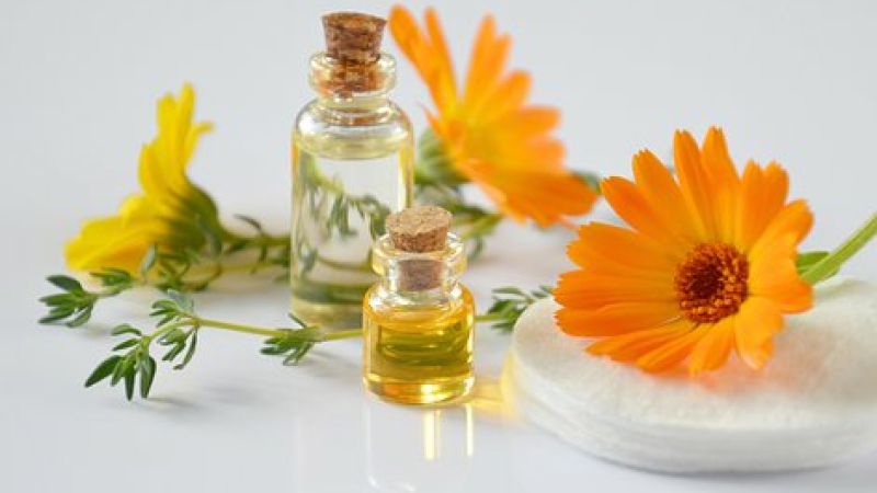 Deux ateliers gratuits en Laboratoires