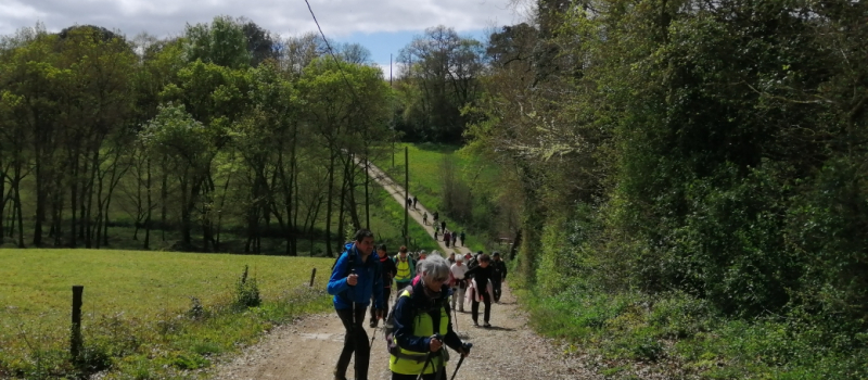 La randonnée de l’aubépine 2019
