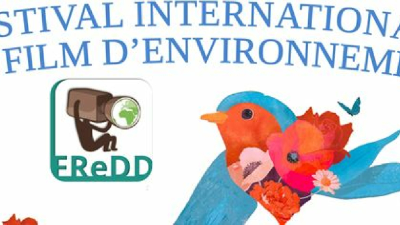 L'environnement fait son cinéma