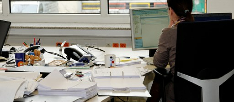 Douze stagiaires diplômés à nouveau sur le marché de l'emploi