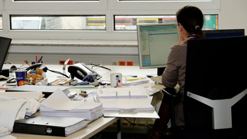 Douze stagiaires diplômés à nouveau sur le marché de l'emploi
