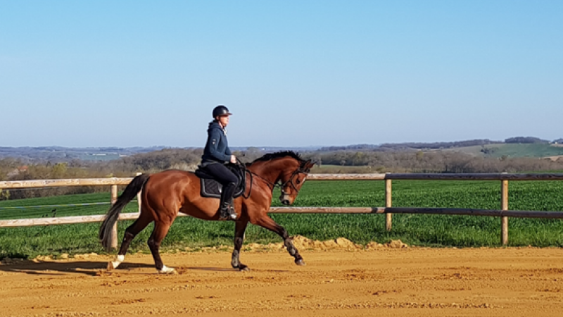 L'Écurie Wendy Terras