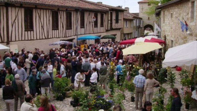 21ème Marché aux fleurs