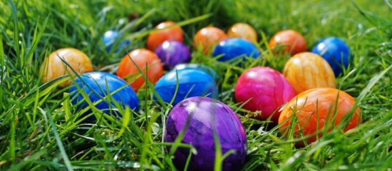 On fait quoi ce week-end ?...
