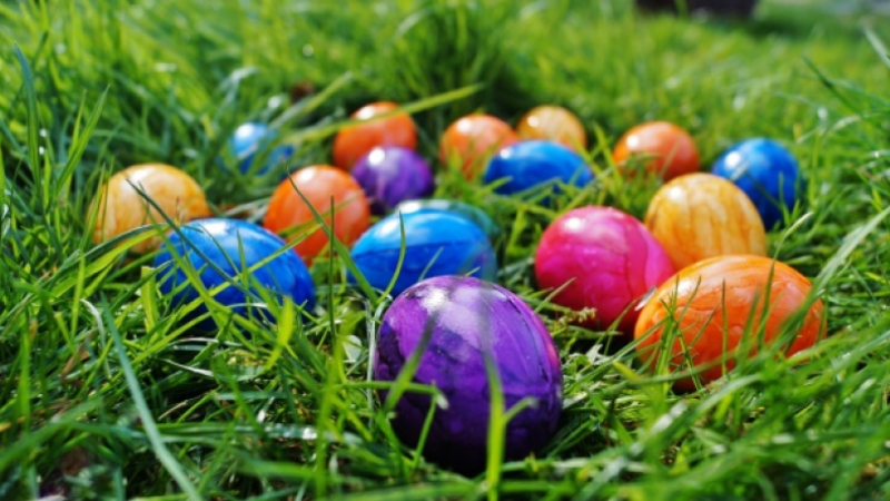 On fait quoi ce week-end ?...