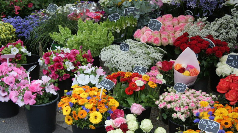 La 18ème édition du marché aux fleurs