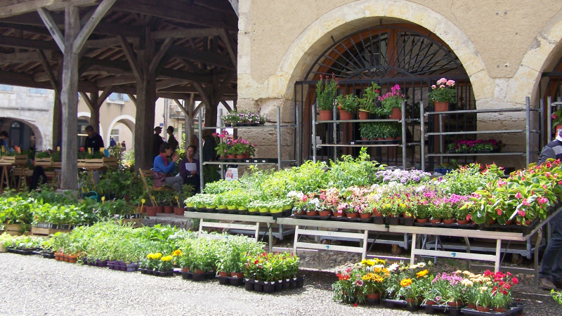 Floralies et vide-grenier à Saint-Clar