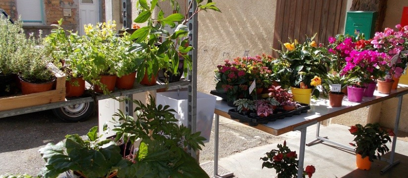 Marché aux fleurs